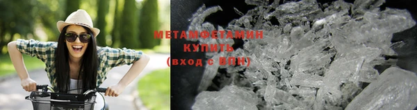 прущие грибы Кулебаки