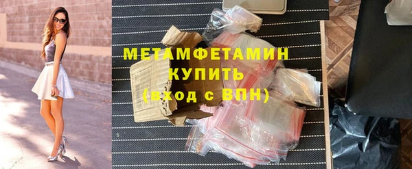 прущие грибы Кулебаки