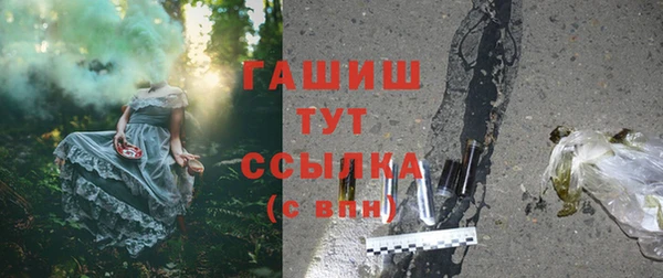 прущие грибы Кулебаки