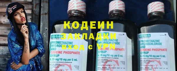 прущие грибы Кулебаки