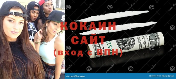 прущие грибы Кулебаки