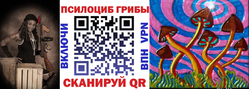 Купить  Коркино  Галлюциногенные грибы GOLDEN TEACHER 